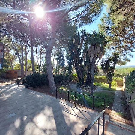 Chalet Rustico Con Piscina Y Barbacoa, Valencia Torrent  Exteriér fotografie